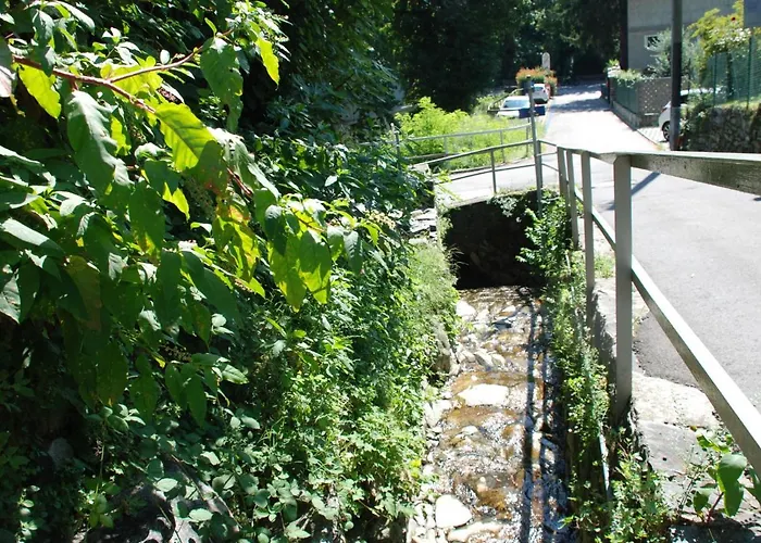 Simona Fontile 22 By Interhome 아파트 Minusio